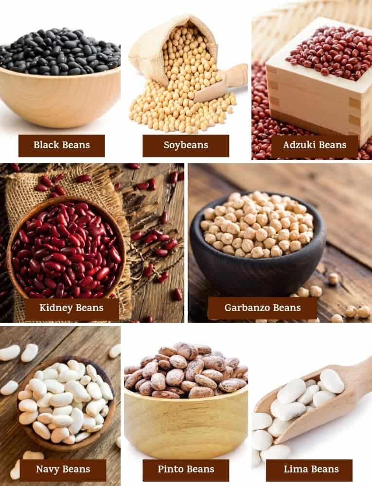 Different varieties of beans