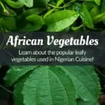 African Vegetables (Leafy Greens) vegetables used in Nigerian cuisine