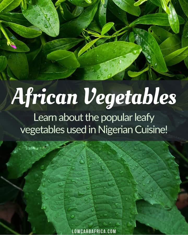 vegetables used in Nigerian cuisine