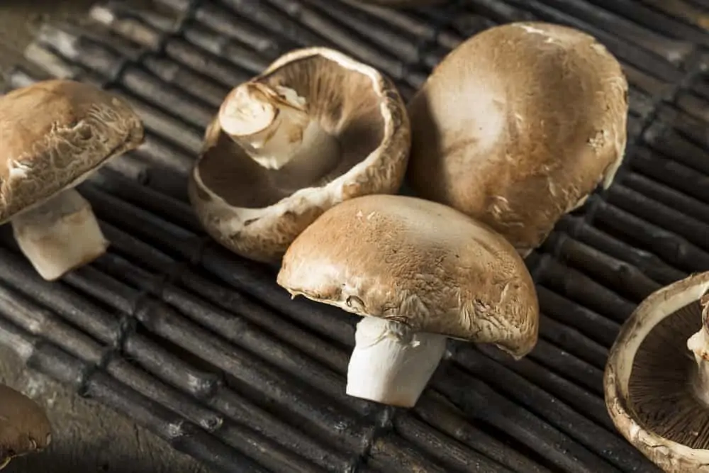 Raw Organic Portobello Mushrooms