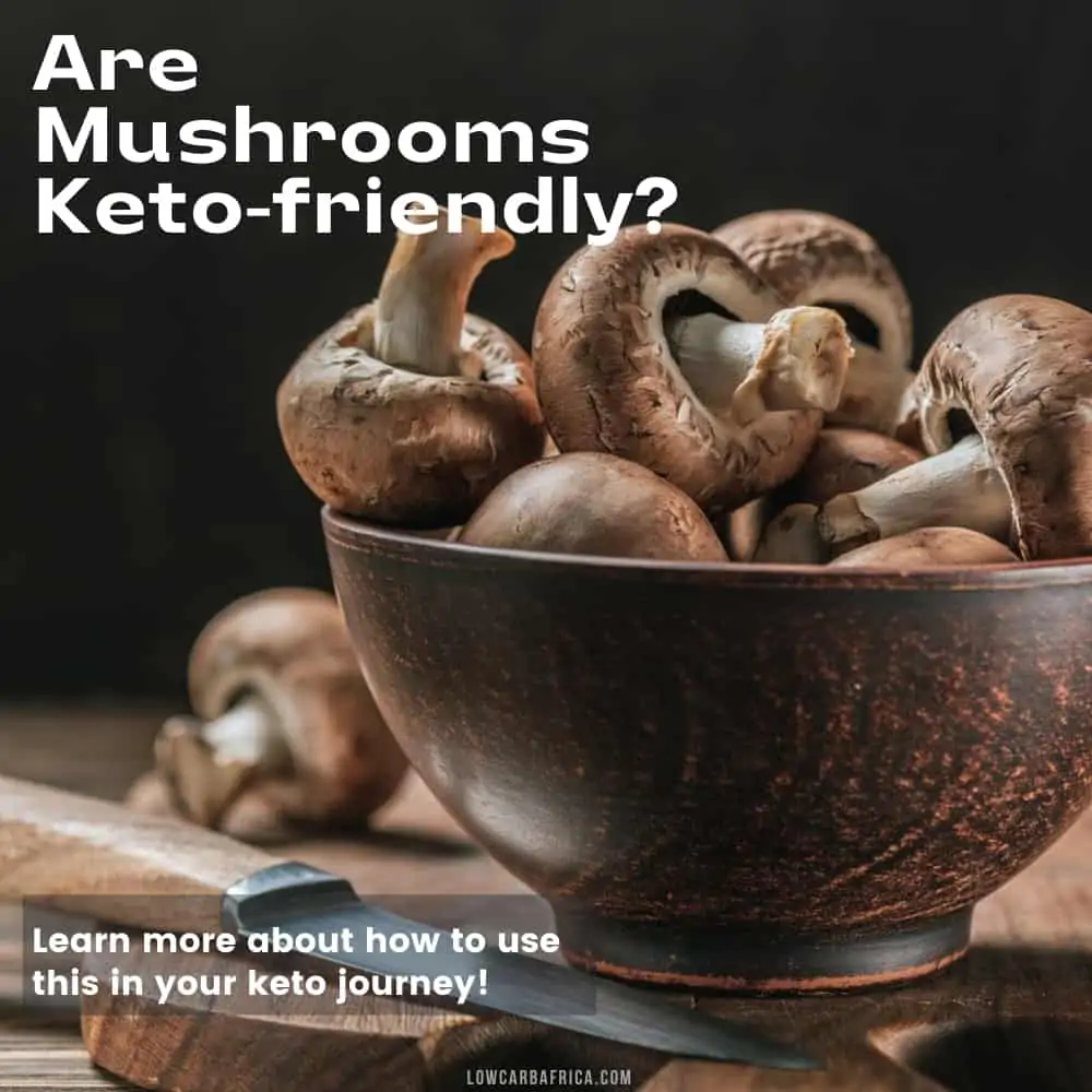 image of mushrooms on dark background