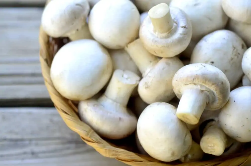 Button mushrooms