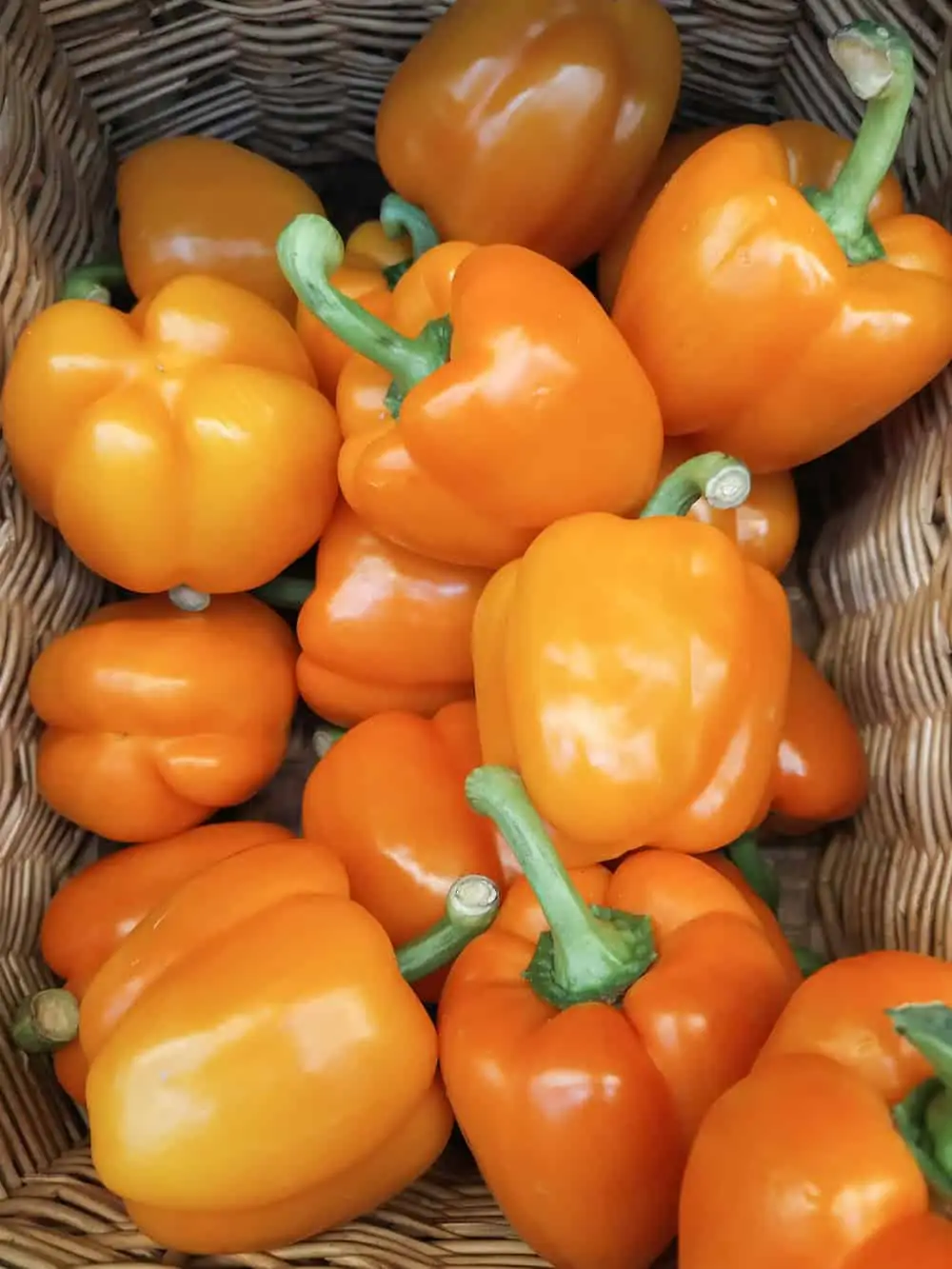 orange habanero peppers