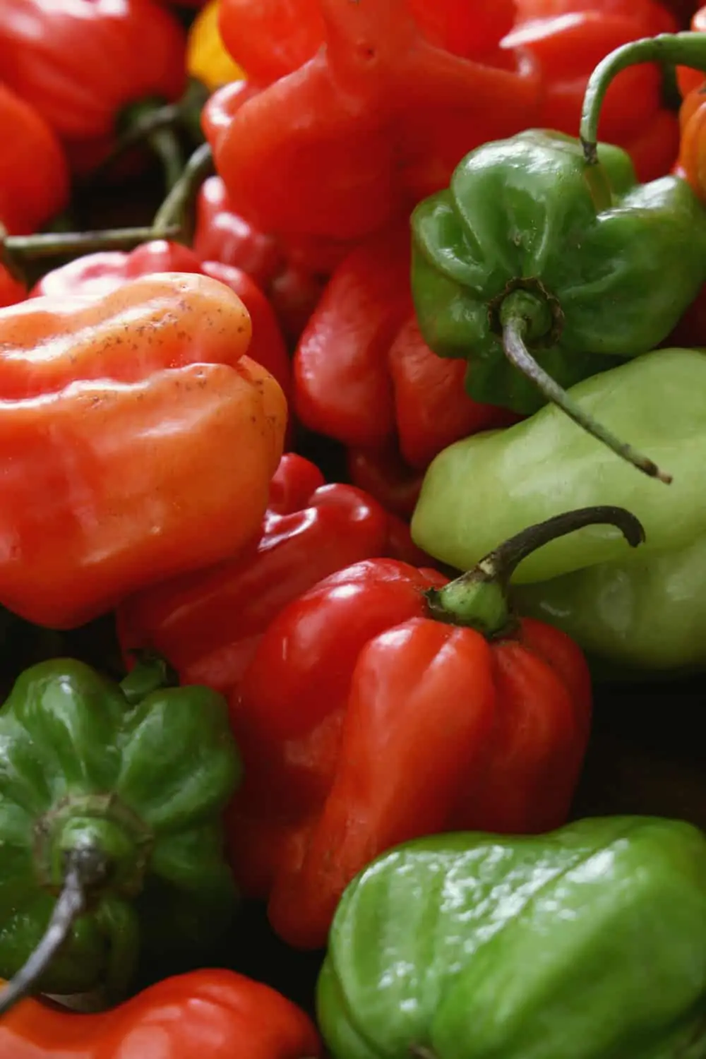 PDF) Evaluation of Scotch Bonnet and Habanero Peppers (Capsicum