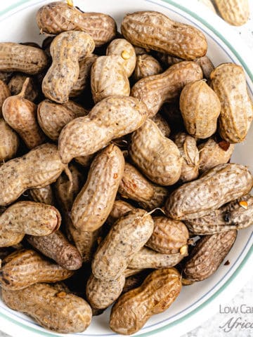 closeup shot of instant pot boiled peanuts