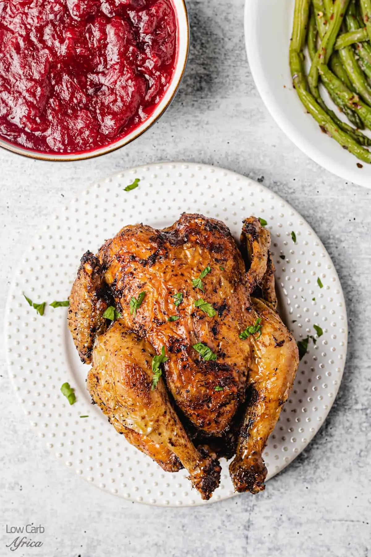 air fryer chicken with cranberry sauce on the side