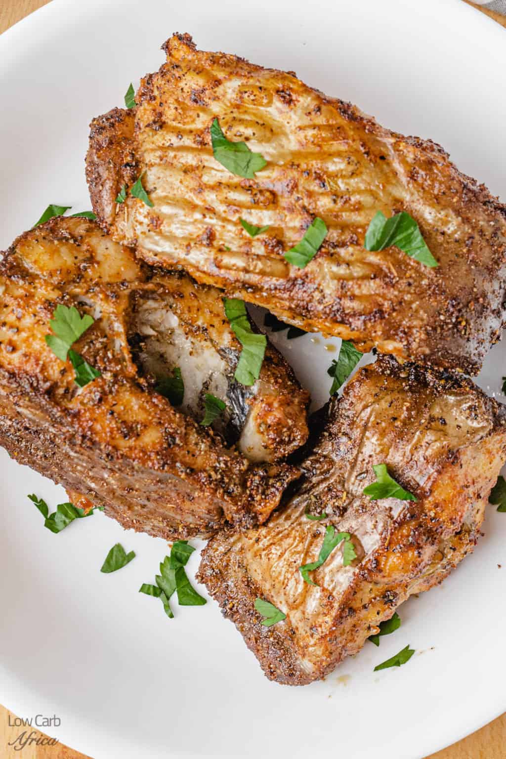 Air Fryer Catfish Steaks Low Carb Africa
