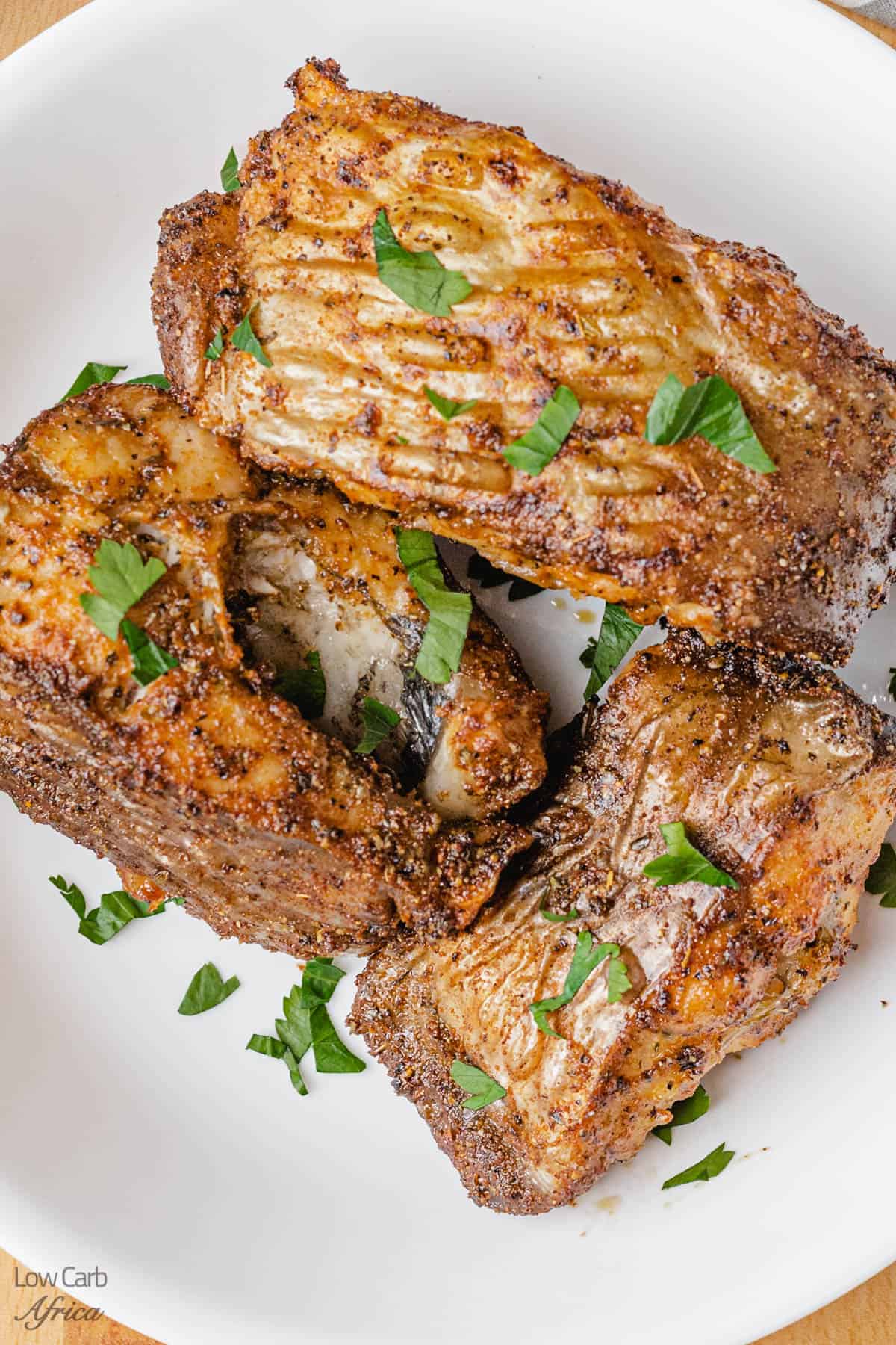 https://lowcarbafrica.com/wp-content/uploads/2022/04/Air-Fryer-Catfish-Steaks-1.jpg