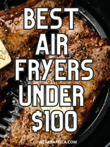 Best air fryers under $100