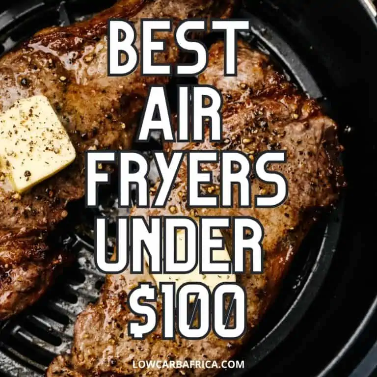 Best air fryers under $100