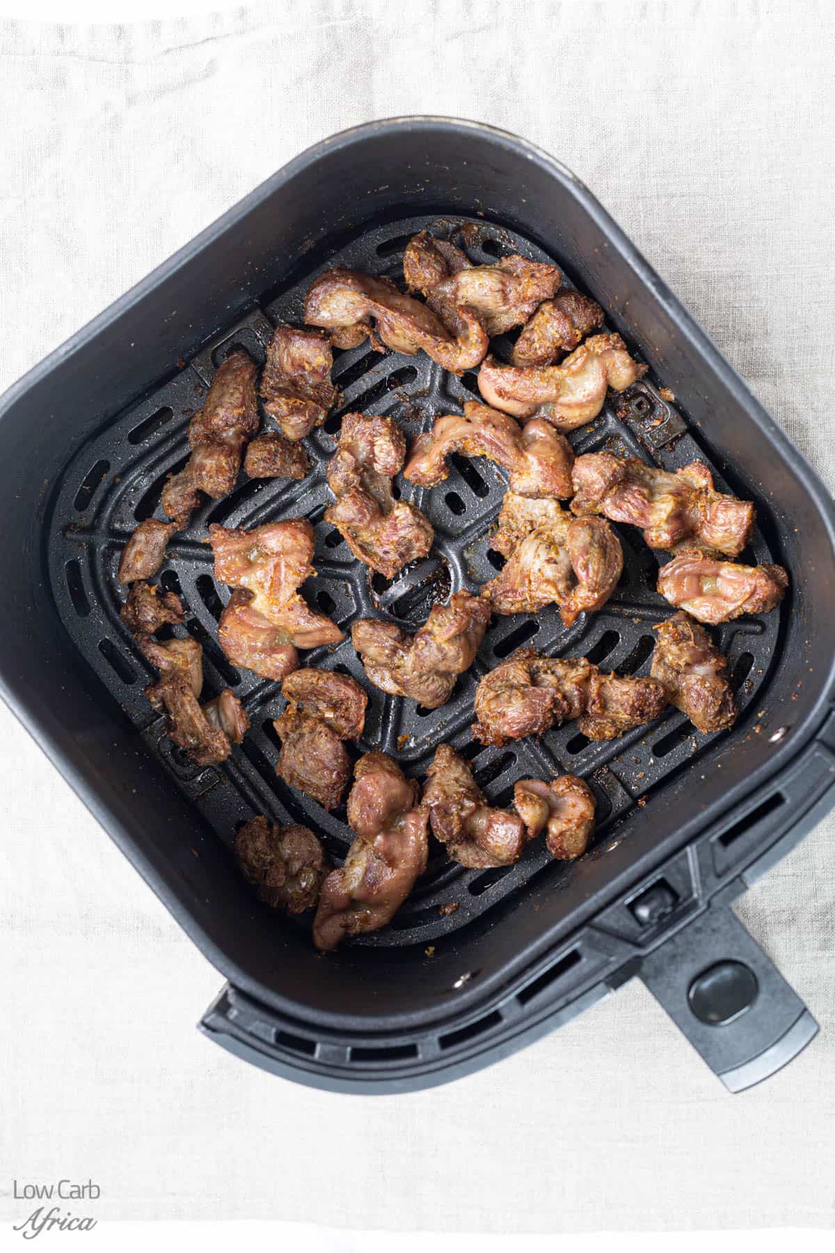 chicken gizzards in the air fryer.