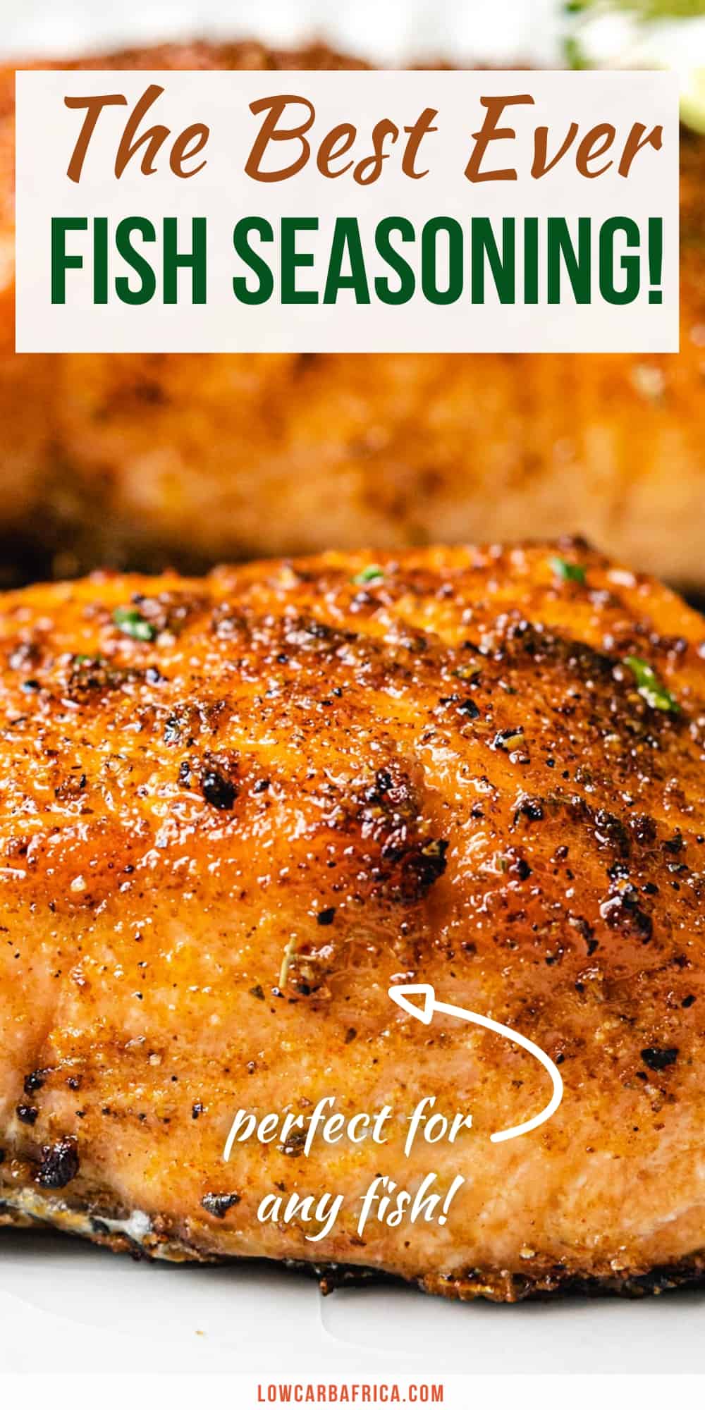 Homemade Fish Seasoning Low Carb Africa