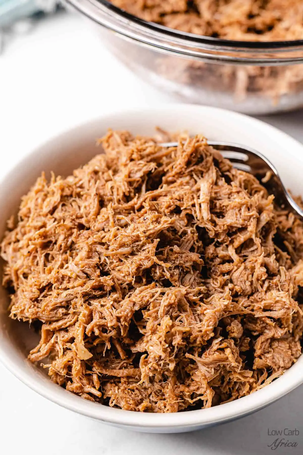 Instant Pot Pulled Pork in a white plate