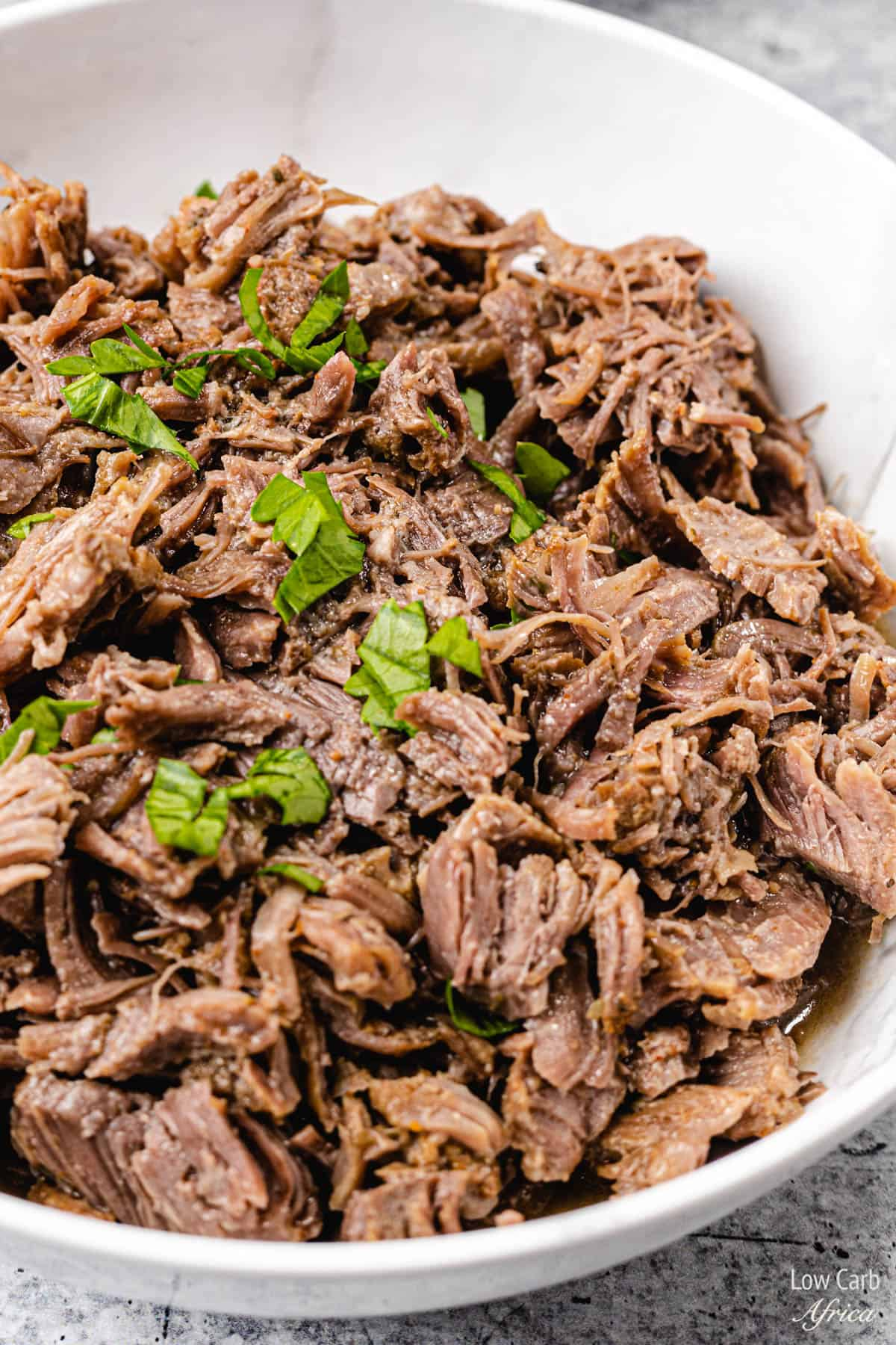 instant pot shredded beef keto recipe