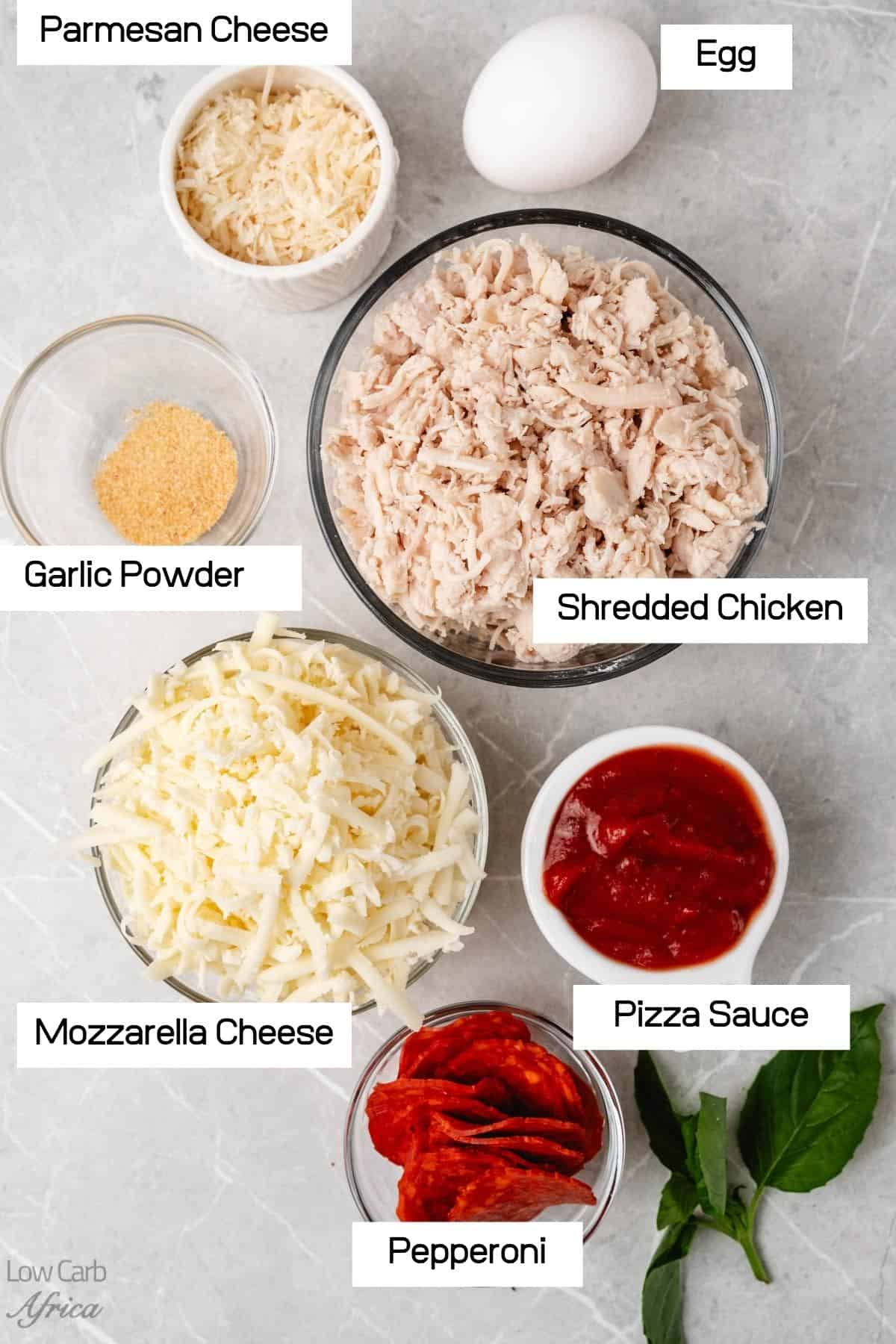 Shredded chciken, garlic powder and pizza sauce
